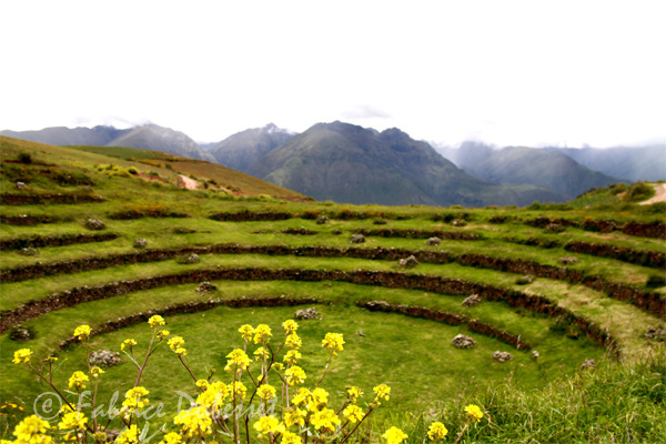 sites cuzco